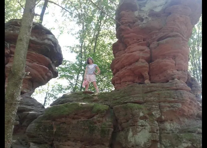 La Petite Halte Holiday home *