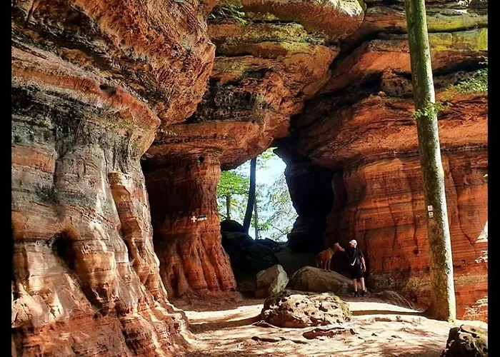 La Petite Halte * Lemberg