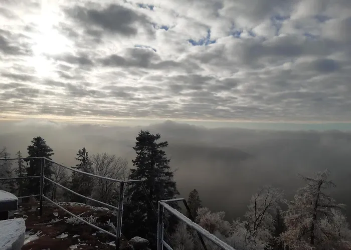 Holiday home La Petite Halte *